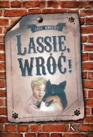 lassie-wroc-br-greg