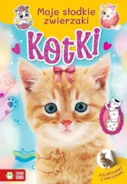 moje-slodkie-zwierzaki-kotki