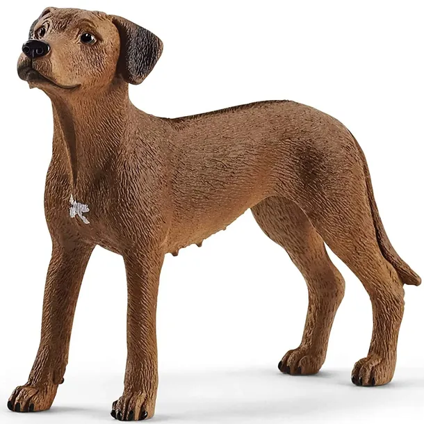 rhodesian-ridgeback-slh13895-schleich-wysokosc-produktu-5-cm