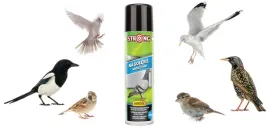 odstraszacz-na-golebie-wroble-szpaki-spray-300-ml