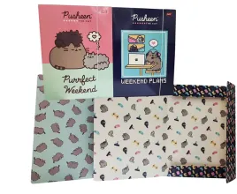 teczka-z-gumka-a4-pusheen-unipap