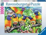 puzzle-1000-kraina-lorikeet-ravensburger
