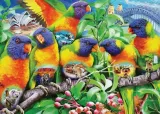 puzzle-1000-kraina-lorikeet-ravensburger-stan-nowy