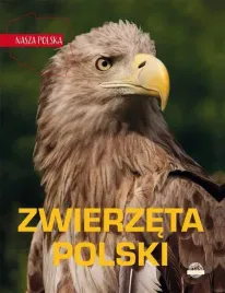 nasza-polska-zwierzeta-polski
