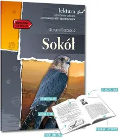sokol-lektura-z-opracowaniem-i-streszczeniem-greg-giovanni-boccaccio