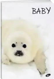 zeszyt-a5-32k-linia-baby-elisa