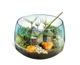 harry-potter-terrarium-clementoni-marka-clementoni