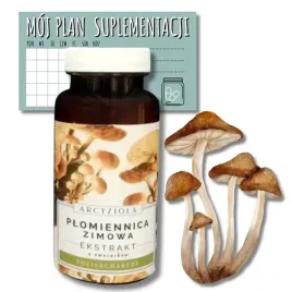 arcyziola-plomiennica-zimowa-50-g-naturalna-or-naklejka-z-planem-gratis