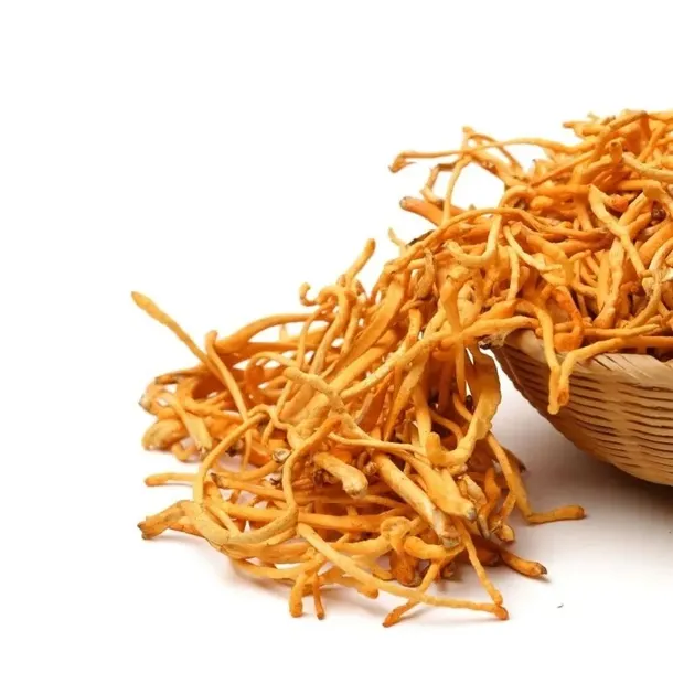 arcyziola-kordyceps-chinski-50-g-stan-nowy