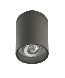 lampa-sufitowa-punktowa-regulowana-zewnetrzna-ciemna-szara-tuba-ip54-su-ma