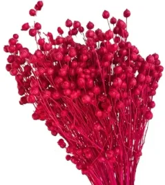len-czerwony-40-cm-klosy-peczek-susz-naturalny-60-sztuk-czerwien-dekoracja