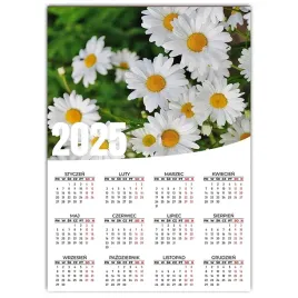 kalendarz-plakatowy-na-sciane-scienny-50x70-na-prezent-flower-stokrotki-wz