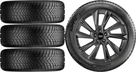 nowe-kola-zima-audi-q2-vredestein-235-40r19-19