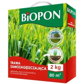 trawa-samozageszczajaca-regeneracja-dosiewka-jesienna-nasiona-trawnik-2kg