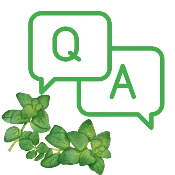 avitale-olejek-z-dzikie-oregano-30-ml-or-100percent-czysty-karwakrol-odpornosc-waga-z-opakowaniem-0-5-kg