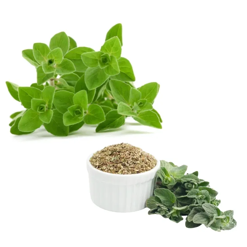 avitale-olejek-z-dzikie-oregano-30-ml-or-100percent-czysty-karwakrol-odpornosc