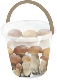 wiaderko-gospodarcze-z-uchem-ozdobne-w-grzyby-10l