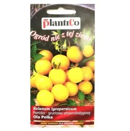 pomidor-koktajlowy-zolty-ola-polka-nasiona-05g-idealny-o-pojemnikow-balkon