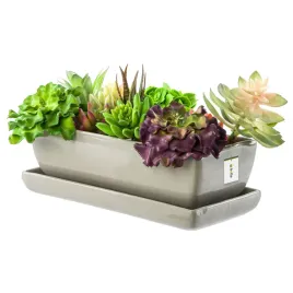 kaktusiarka-doniczka-ceramika-szary-eco-29cm-podstawka-sukulenty-kaktusy