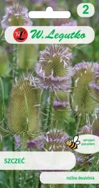 szczec-pospolita-rozowa-nasiona-05g-legutko-przyciaga-motyle