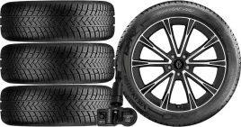 nowe-kola-zima-renault-austral-vredestein-235-45r20-tpms-1