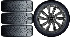 nowe-kola-zima-audi-q5-fy-dunlop-255-45r20-6