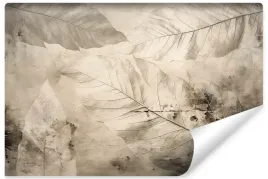 fototapeta-do-jadalni-abstrakcja-liscie-rosliny-beton-mur-450x300