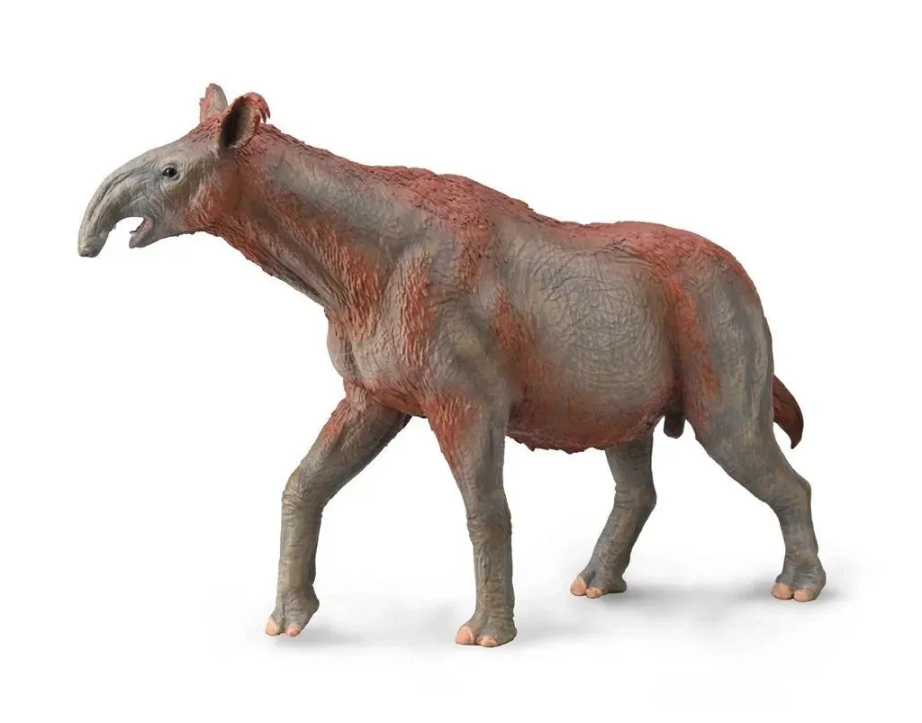 paraceratherium-collecta