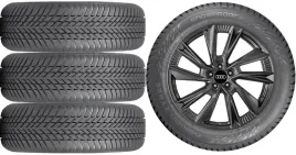 nowe-kola-zima-audi-q5-fy-nokian-255-45r20-5