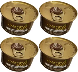 4x-puszka-zapachowa-california-car-scents-capistrano-coconut-brak-dekielka