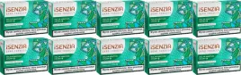 10x-wklady-beztytoniowe-isenzia-polar-menthol-crush-mietowe-do-pulze