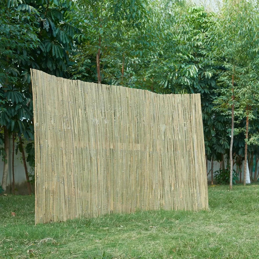 plot-bambusowy-baarle-200x300cm-natura-stan-nowy