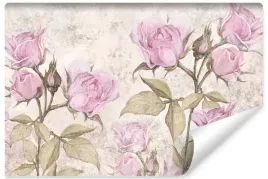 fototapeta-do-salonu-kwiaty-roze-abstrakcja-beton-mural-450x300