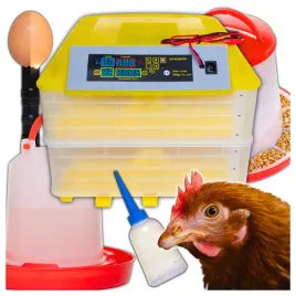 inkubator-klujnik-wylegarka-jaj-wylegu-drobiu-112-jaj-karmidelko-poidelko