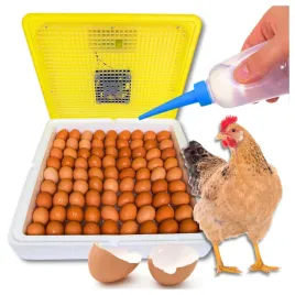 duzy-inkubator-klujnik-wylegarka-jaj-drobiu-gesie-kacze-na-88-jaj-zestaw