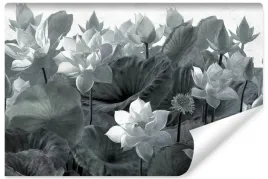 fototapeta-do-salonu-biale-kwiaty-lotosu-natura-styl-vintage-450x300