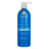 kareol-blueberry-conditioner-1000-ml