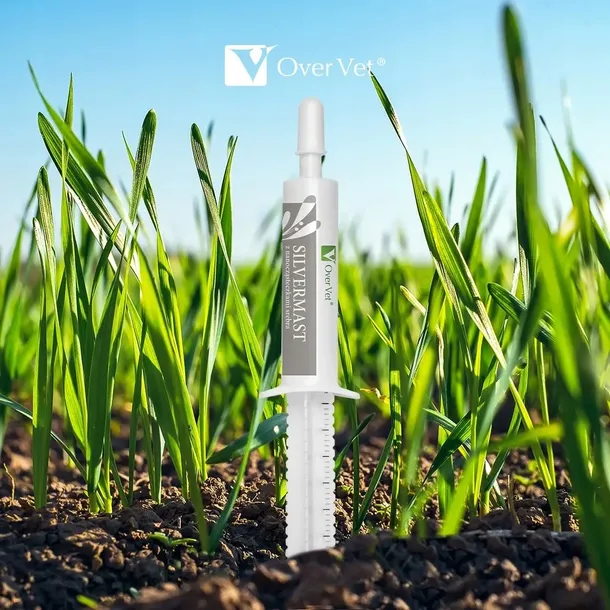 Silvermast 10 ml nanocząsteczki srebra Mastitis