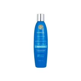 kareol-blueberry-conditioner-300-ml