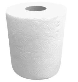 czysciwo-celulozowe-horeca-dwuwarstwowe-rolka-80-m