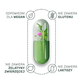 herbaya-prawidlowa-odpornosc-echinacea-60kaps