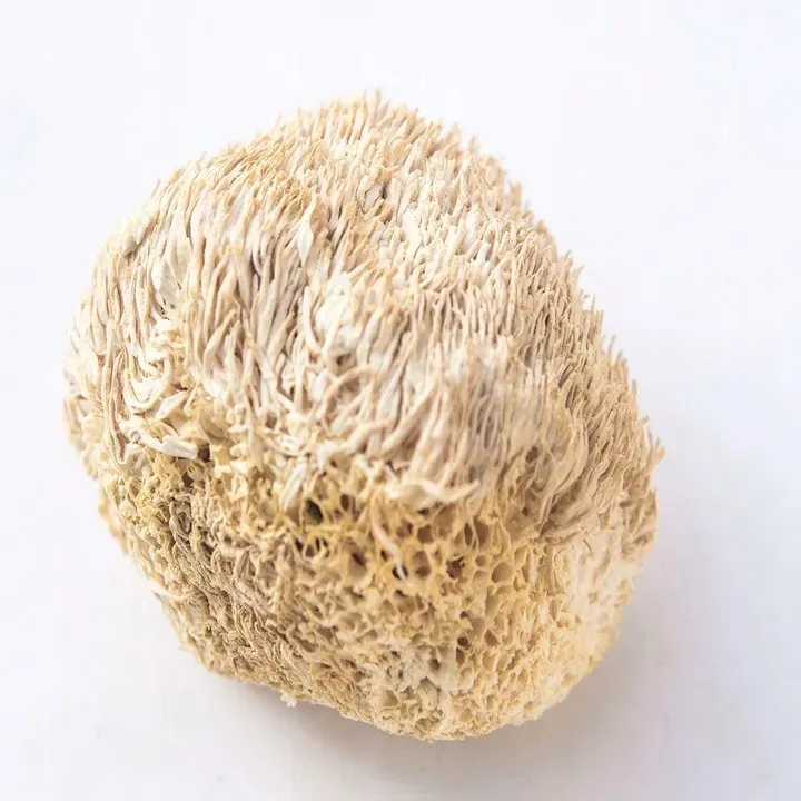 soplowka-jezowata-susz-100g