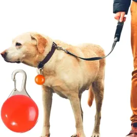 lampka-led-swiecaca-na-obroze-dla-psa-zawieszka