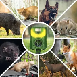 ultradzwiekowy-odstraszacz-psow-kotow-kun-lisow-dzikow-saren-jeleni-no-pest