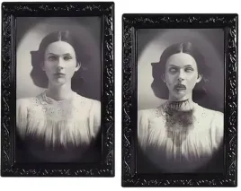 dekoracja-halloweenowa-upiorny-obraz-3d-38x25-cm-dama-retro-halloween