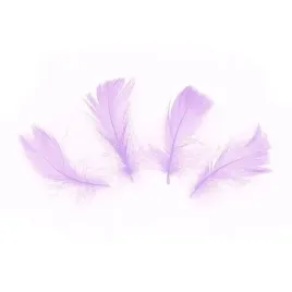 piora-piorka-dekoracyjne-fioletowe-jasnofioletowe-male-diy-ozdobne-50szt