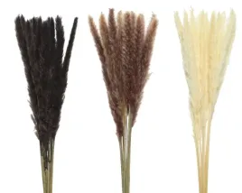 trawa-naturalna-sucha-piora-pioropusz-kwiaty