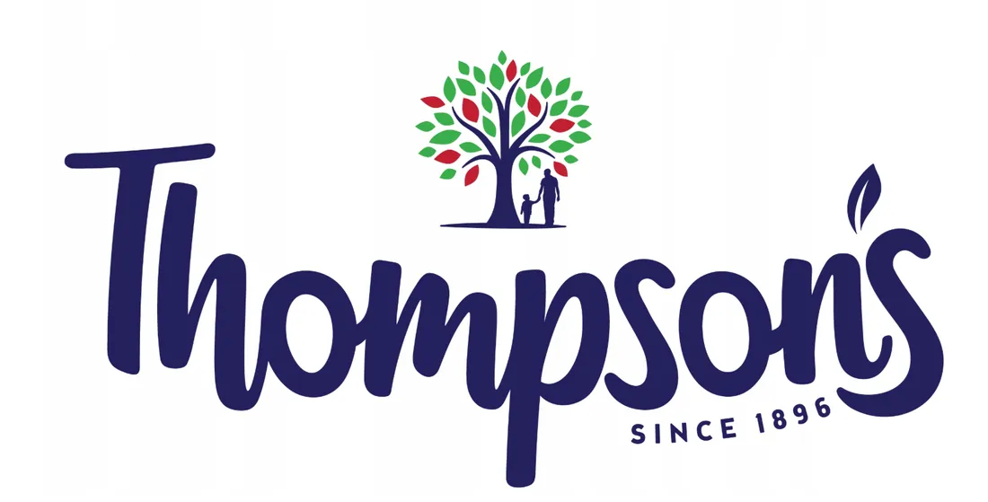 thompsons-everyday-tea-80-herbata-irl-250g-forma-ekspresowa