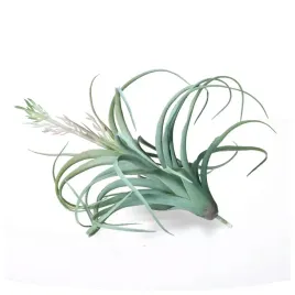 galazka-plastikowa-roslina-sztuczna-40cm-ozdobna