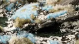 gamers-grass-alien-frost-6mm-wild-stan-nowy